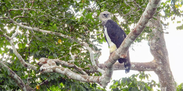 08:58: GEO Reportage | Arte | 11/15 2025