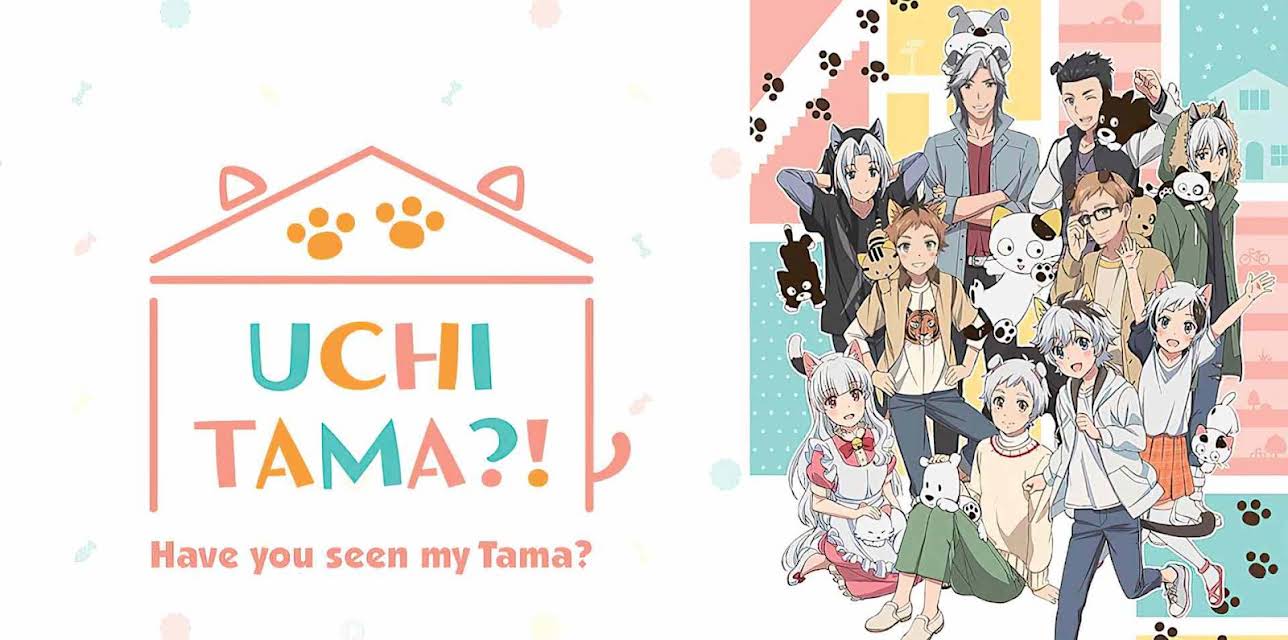 Uchitama?! Have You Seen My Tama?: Season 1