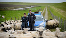 Friesland - Schmutzige Deals