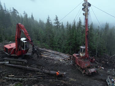 17:40: Timber Titans - Kanadas härteste Holzfäller | Kabel Eins Doku | 5/1 2026