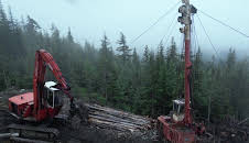 Timber Titans - Kanadas härteste Holzfäller