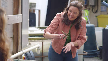 11:30 AM: Teeny Tiny Creatures (S1) | Cbeebies | 8/5 2026