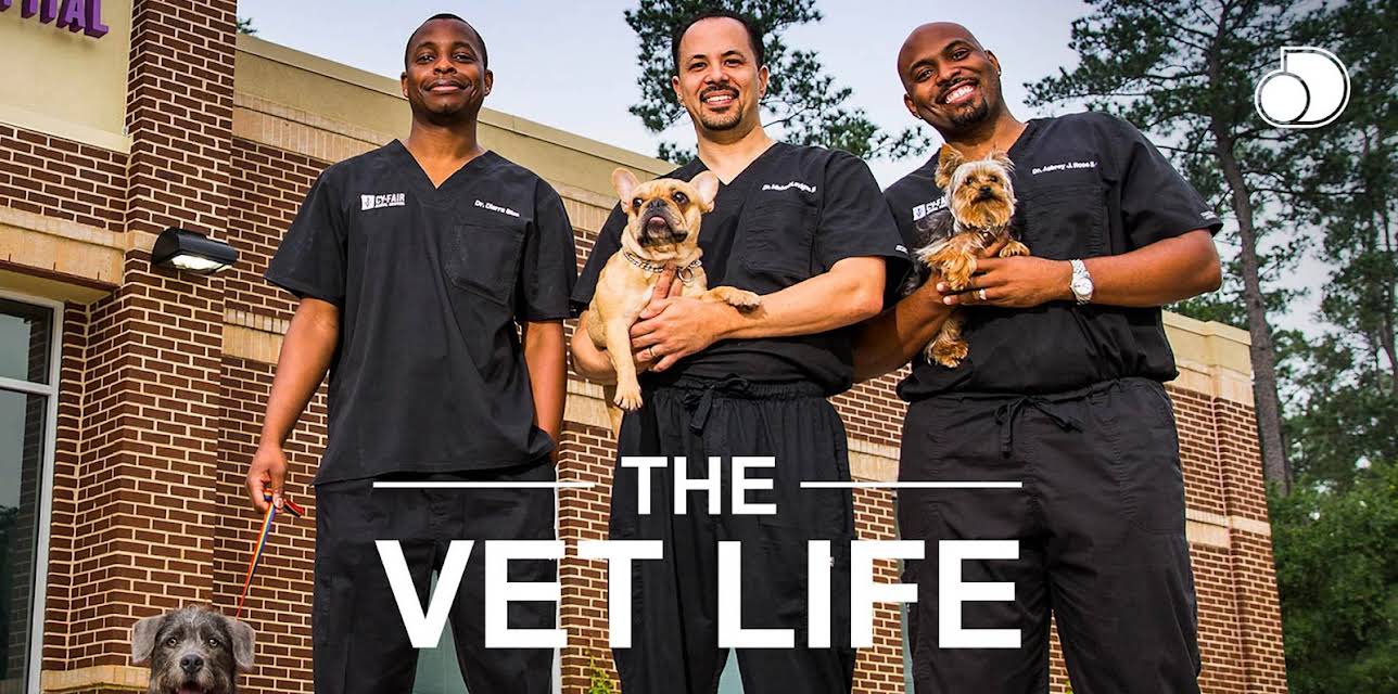 The Vet Life Season 1