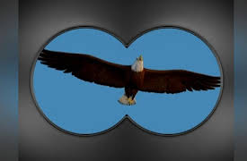 Little Einsteins Volume 1: I Love To Conduct