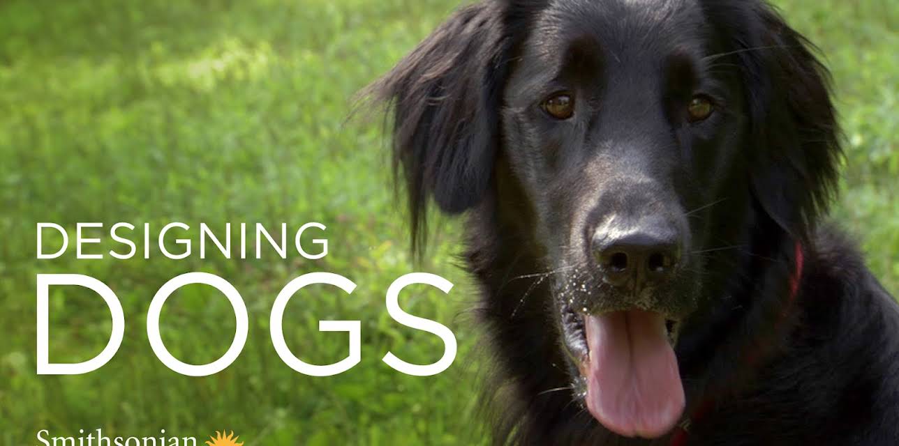 Designing Dogs (2009)