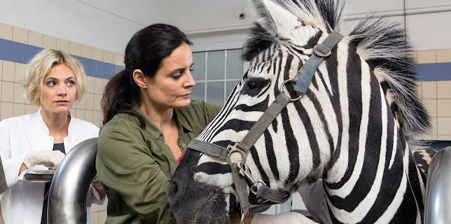 10:20: Tierärztin Dr. Mertens (64) | MDR Fernsehen | 2/7 2026