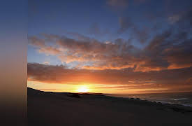 Africa's Wild Wonders: Changing Seasons