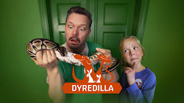 15:40: Dyredilla: Katta Strofe | NRK Super | 5/27 2026