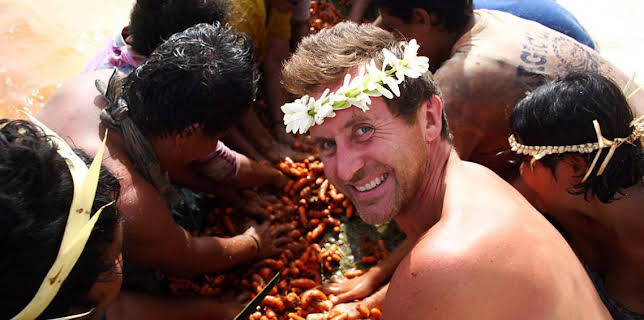 9:00 PM: Tribe (2005) (S3) | BBC Four | 2/11 2026