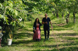 The Pasta Queen S1: Italian Comfort Food