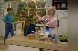 Growing Pains: The Complete First Season: Carol's Crush