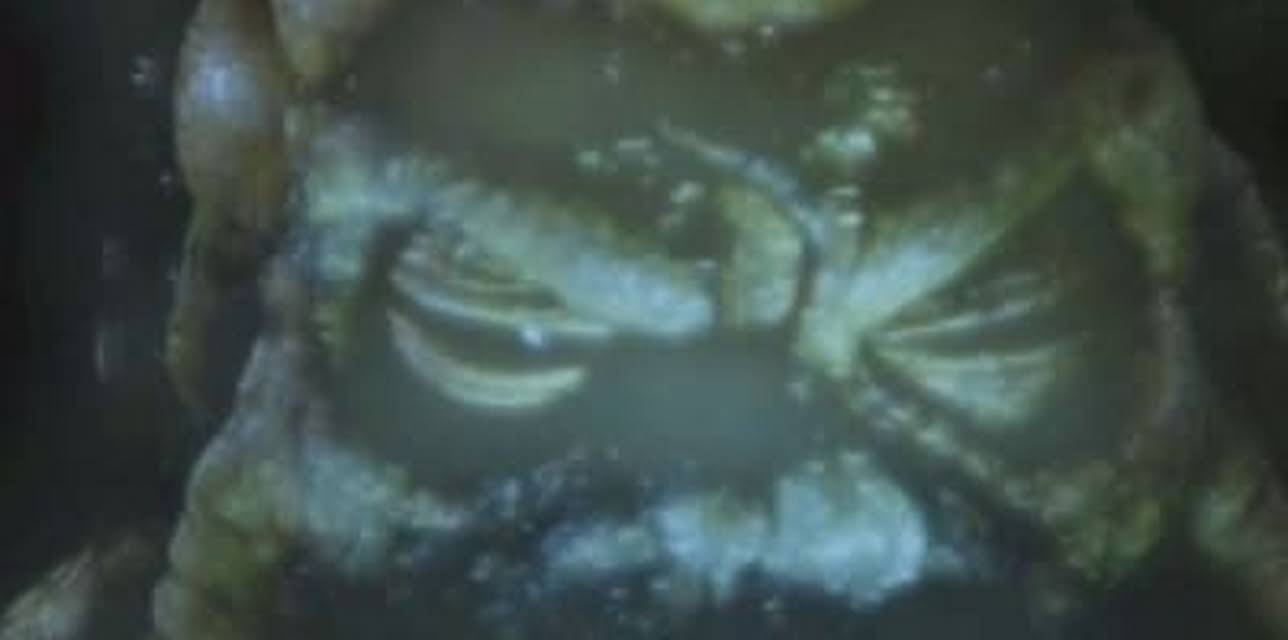 Creatures From The B Movie Swamp