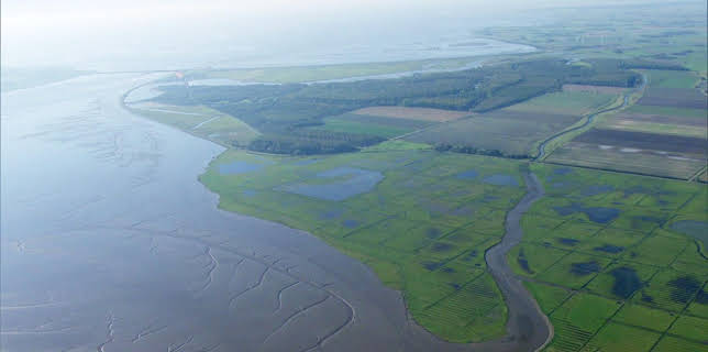 20:15: Land im Gezeitenstrom | NDR Fernsehen | 2/22 2026