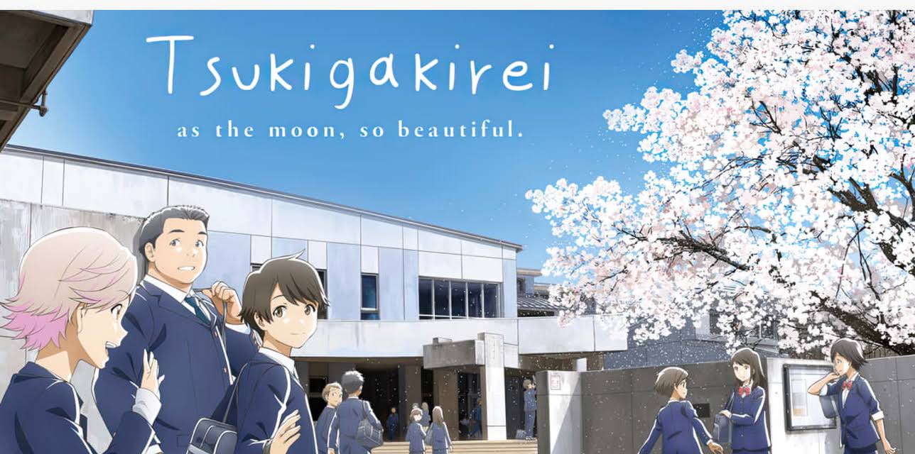 First Half: The Road So Far (2017)