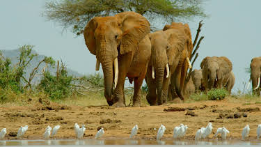 17:15: Kenia, eine Oase im Sand (2/2) | WDR Fernsehen | 5/17 2026