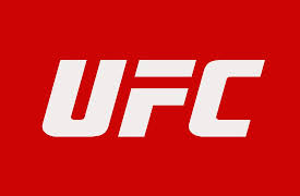 Team Penn vs. Team Pulver: It's Like Anarchy Here