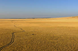 Aerial Adventures: The Southwest