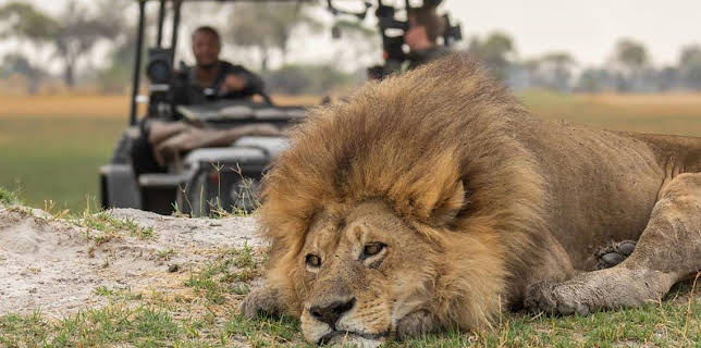 9:00 PM: Big Cats 24/7 (S2) | BBC Two | 3/13 2026