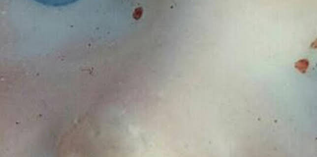 16:30: Así se hace: Guitarras con skates | Discovery | 3/2 2026