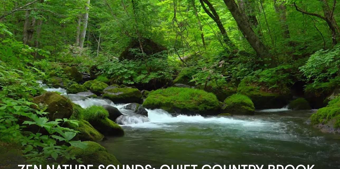 Zen Nature Sounds: Quiet Country Brook (2023)