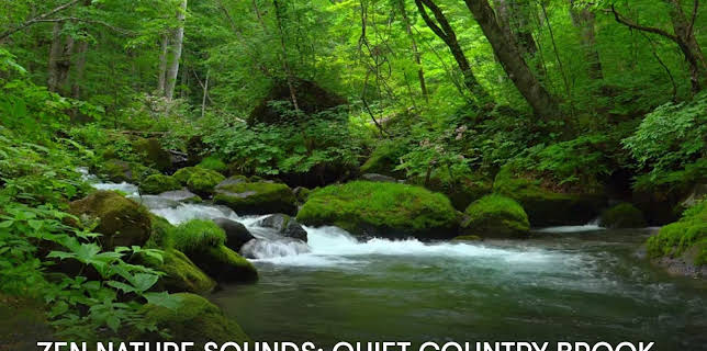 Zen Nature Sounds: Quiet Country Brook (2023)