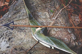 Great Utopian and Dystopian Works of Literature: Suzanne Collins and Dystopian Games