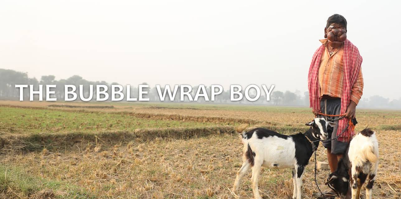 The Bubble Wrap Boy (2017)