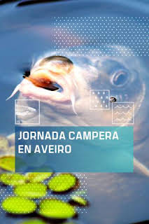 13:45: Jornada carpera en Aveiro | Caza y Pesca | 4/6 2026