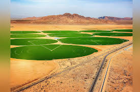 H2O: The Molecule That Made Us: Season 1: Civilizations