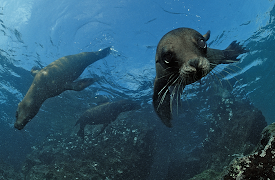 24 Hours on Earth: Day