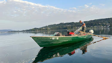 20:15: Ein Sommer am Bodensee | RBB Fernsehen | 5/17 2026