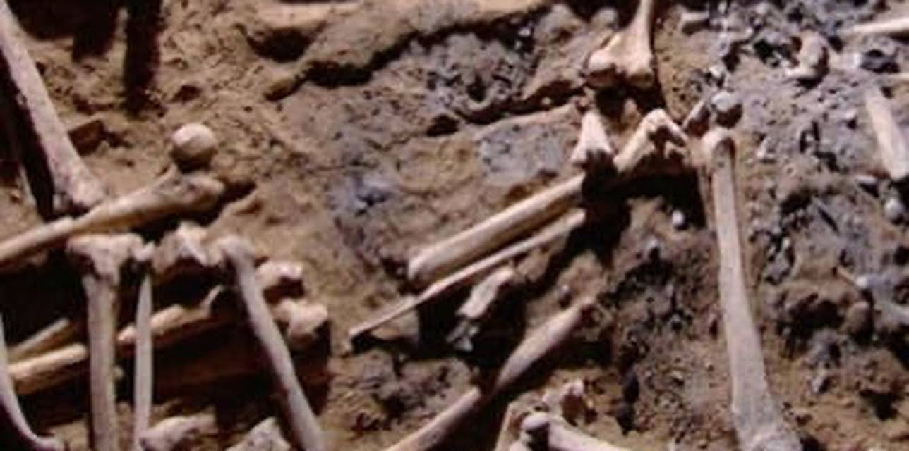 Tales of the Living Dead