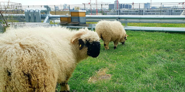 05:10: Terra Xpress | ZDFneo | 12/26 2025