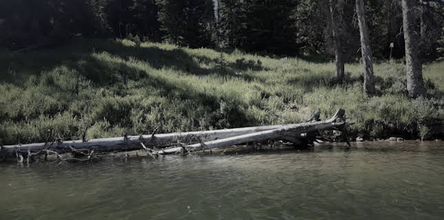 17:15: Murder Maps - Geheimnisvolle Verbrechen | ZDFinfo | 11/14 2025