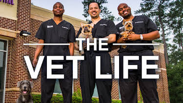 09:25: The Vet Life (S1 E8) (S1) | Animal Planet | 3/28 2026