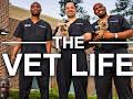 The Vet Life