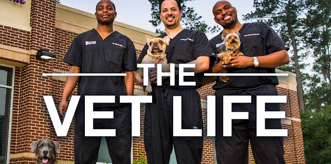 10:20: The Vet Life (S1 E1) (S1) | Animal Planet | 12/3 2025