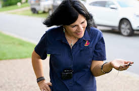 The Snake Catcher: The Emergency Surgery