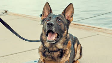 13:15: Contraband: Seized At Sea (S1 E8) (S1) | Discovery Channel | 12/29 2025