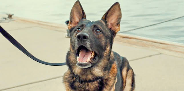 12:15: Contraband: Seized At Sea (S1 E8) (S1) | Discovery Channel | 12/29 2025