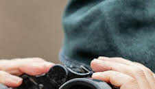 Seprona en acción: Episodio 6