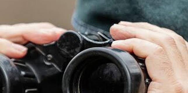 07:52: Seprona en acción: Episodio 6 | Discovery Max | 1/27 2026