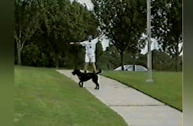 Life's Funniest Moments: Bird's-Eye View