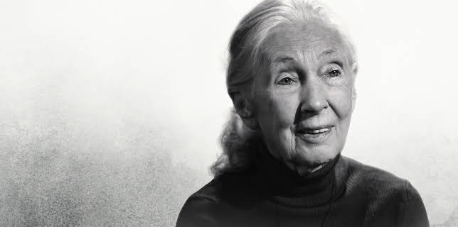 Famous Last Words: Dr. Jane Goodall (2025)
