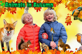 Sky and Finn: Animals in Autumn