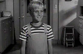 Dennis The Menace, Season Two: Dennis Goes To Camp