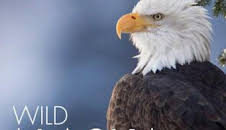 Alaska salvaje: Primavera