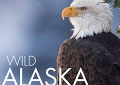 Alaska salvaje: Primavera