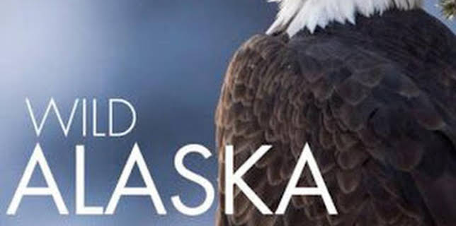 16:31: Alaska salvaje: Primavera | La Otra | 12/8 2025