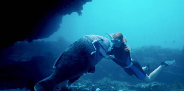 11:10 PM: Blueback | Sky Family | 3/8 2026